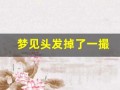 梦见头发掉了一撮(梦见头发掉了一撮头露个洞什么意思)