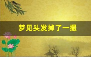 梦见头发掉了一撮(梦见头发掉了一撮头露个洞什么意思)