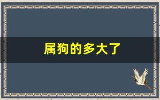 属狗的多大了(七几年属狗的多大了)