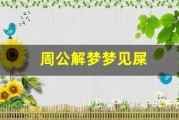 周公解梦梦见屎(周公解梦梦见屎尿满地)