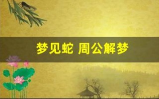 梦见蛇 周公解梦(男人梦见蛇周公解梦)