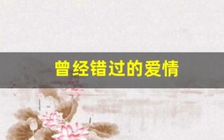 曾经错过的爱情(曾经错过的爱情歌词)