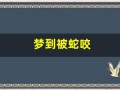 梦到被蛇咬(梦到被蛇咬脚)