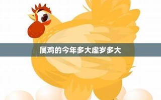 属鸡的今年多大(属羊的今年多大)