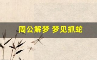 周公解梦 梦见抓蛇(周公解梦梦见抓蛇是什么预兆)