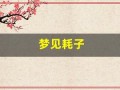梦见耗子(梦见耗子咬手是什么意思)