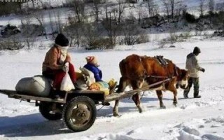 梦见亲戚死了(梦见亲戚死了什么意思)