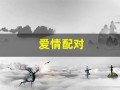 爱情配对(合婚配对)