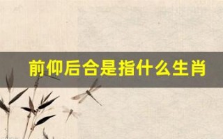 前仰后合是指什么生肖(前仰后合是指什么生肖呢图片)