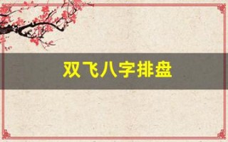 双飞八字排盘(双飞八字排盘生辰八字算命-八字排盘宝)