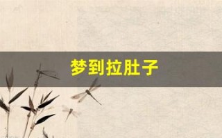 梦到拉肚子(梦到拉肚子到处都是屎)