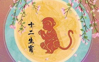 属猴人2013年运势(属猴人2025年全年运势详解)