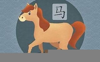 1978年属什么生肖(1978年属什么生肖 今年多大了)