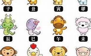 08年属什么生肖(00年属什么生肖)