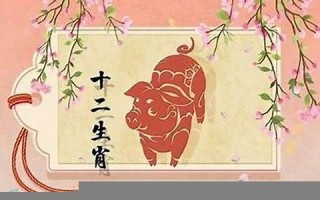 属猪2022年的运势(属猪2022年的运势怎么样)