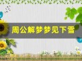 周公解梦梦见下雪