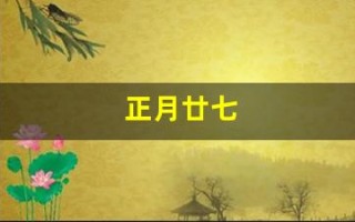 正月廿七(正月廿七怎么读)