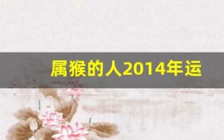 属猴的人2014年运程(属猴人2024年运势及运程每月运程)