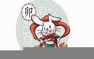 属兔人2021年下半年运势咋样(属兔2021年下半年运势如何)