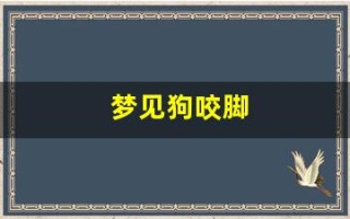 梦见狗咬脚(梦见狗咬脚后跟)