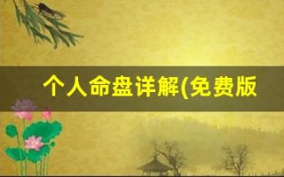 个人命盘详解(免费版)(个人命盘详解免费版专业细盘)