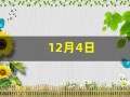 12月4日(12月4日国家宪法日)