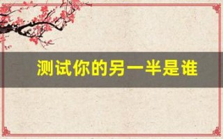测试你的另一半是谁(测试你的另一半是谁英语)