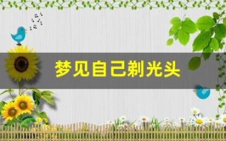 梦见自己剃光头(梦见自己剃光头剃了一半是什么意思)