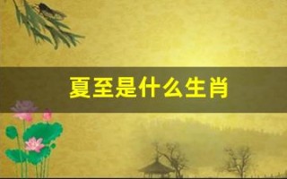 夏至是什么生肖(夏至是什么生肖正确答案)