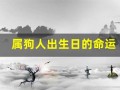 属狗人出生日的命运(属狗人出生日命运时辰)
