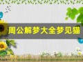 周公解梦大全梦见猫(周公解梦大全梦见猫生一窝小猫)