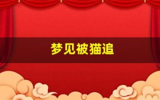梦见被猫追(梦见被猫追着抓咬是什么意思)
