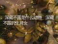 深藏不露是什么生肖(深藏不露猜生肖)