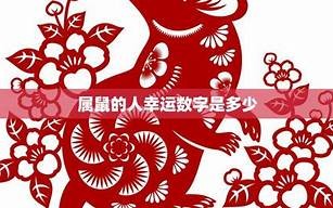属鼠的人2013年运程大全及破解