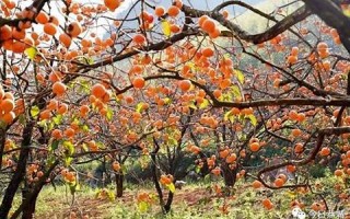 10月28(10月28到现在多少天了)