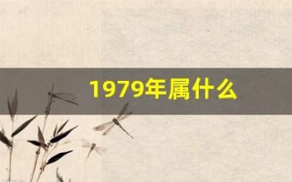1979年属什么(1979年属什么生肖)