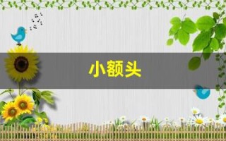 小额头(额头男人面相)