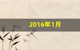2016年1月(2016年1月属什么生肖)