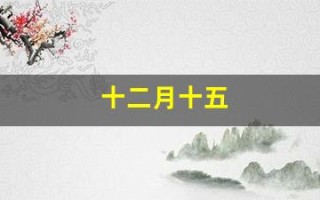 十二月十五(十二月十五日夜袁枚古诗)