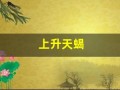 上升天蝎(上升天蝎座女生性格特点)