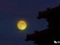 八月十九(八月十九是哪个菩萨的生日)