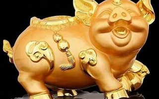属猪的和什么属相最配、相克(属猪的和什么属相最配相克相冲的人)