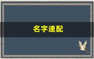 名字速配(名字速配测试结果)