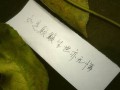 2018年运势(2018年运势最好的星座)