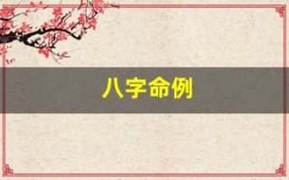八字命例(八字命例讲解)