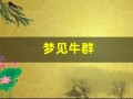 梦见牛群(梦见牛群朝自己跑来)
