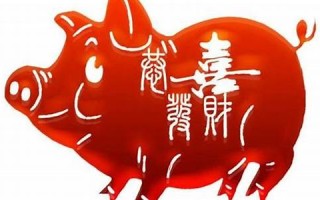 71年属猪48岁命运(71年属猪的是什么命)