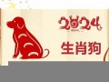 属狗2024年的运势及运程(属狗2024年的运势及运程女)