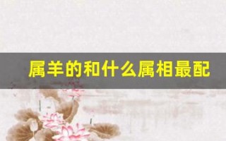 属羊的和什么属相最配(属鸡的和什么属相最配)