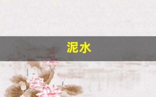 泥水(泥水工师傅)